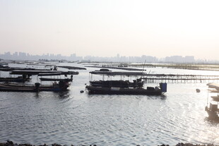 港口停泊船只景象