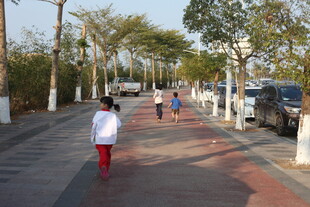 行人漫步于林荫街道