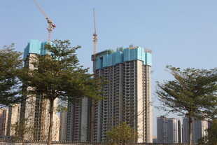 高楼建设中 绿树相伴