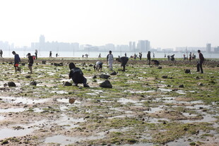 海滩上的人群与湿地景观