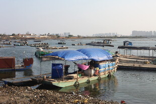 水上停泊的多彩船只