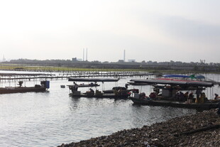 河畔停泊的船只景观