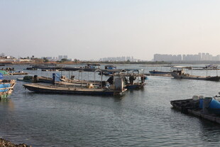 港口停泊的众多船只