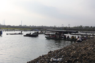 河畔船只停靠景象