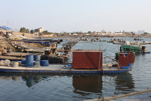 港口停泊的多彩船只