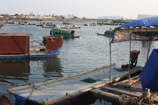 水上停泊的多彩船只