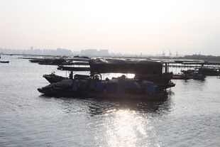 海上船只停泊景象