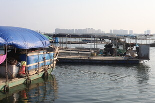 水上停泊的船只与篷布