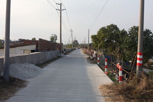 乡村小路旁的电力设施