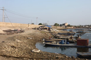 河岸停泊船只的朴素景象