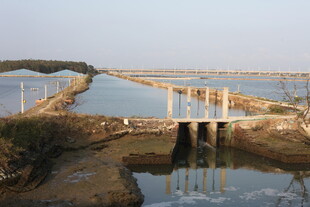 水闸设施 河上桥梁景观