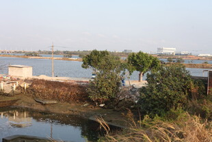 河畔风光 自然景致初览