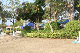 户外绿树环绕的休闲场景