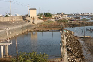 乡村水塘及周边景象