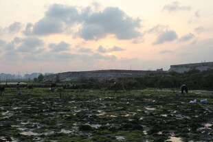 黄昏下的泥泞旷野景色
