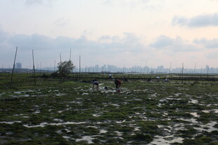 田野风光中的劳作场景