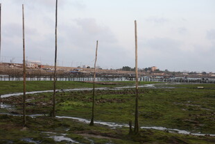 城郊开阔空地风景