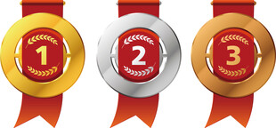 金色麦穗奖章 第一名奖牌