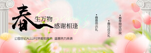 春季主视觉背景板