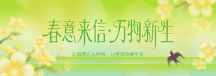春季主视觉背景板