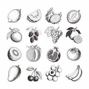手绘水果集合