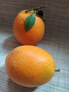 橙子