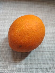 橙子