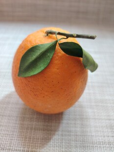 橙子