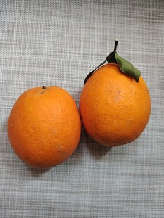 橙子