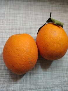 橙子
