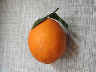 橙子