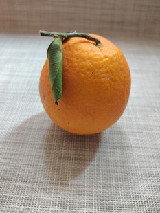 橙子