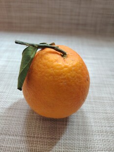 橙子