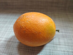 橙子