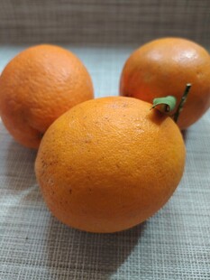 橙子