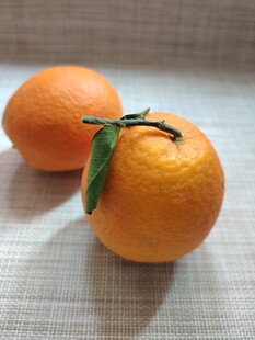 橙子