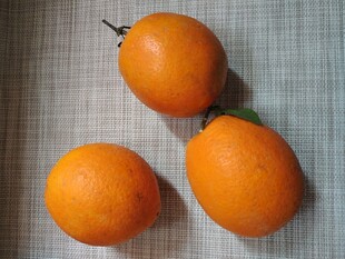 橙子