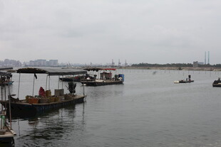 水上船只停泊的宁静场景