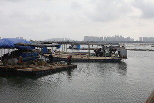 码头景象 船只停靠岸边