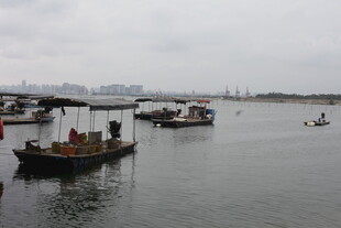 港湾中的多艘船只