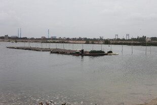 水面上的小船与远处景象