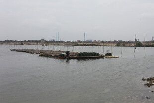 水域景观中的人工设施