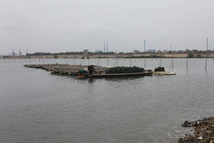 宁静水边停泊的船只景观