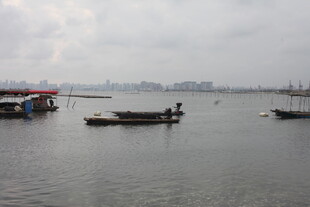 水面上的几艘小船