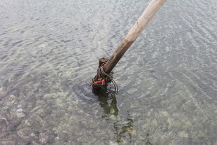 水中木杆露出部分