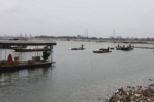 港口停泊的船只景象