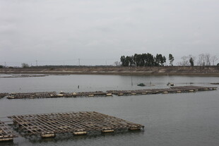 水域中的养殖设施景观