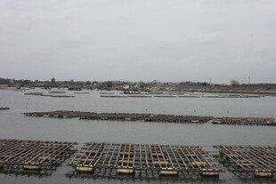 海上养殖场景俯瞰