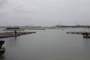 宁静码头水域景象