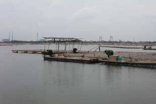 宁静水边码头景象